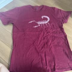 STUSSY サソリプリント Tシャツ Lサイズのサムネイル
