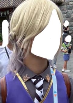 ツイステ ヴィル・シェーンハイト ウィッグのサムネイル