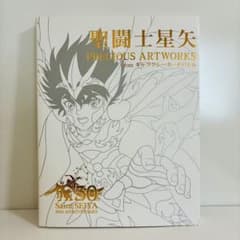 聖闘士星矢 PRECIOUS ARTWORKS fromギャラクシーカードバトル - メルカリ