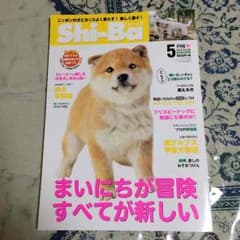 okame様専用ページ 柴犬のサムネイル