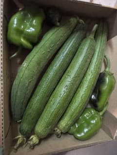 ヘチマと唐辛子詰め合わせ 自家用野菜のおすそ分け　コンパクトBOXのサムネイル