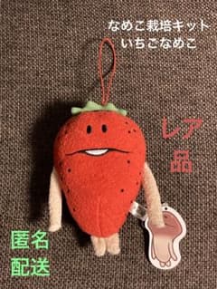 m17655212945_1.jpg?1716600044