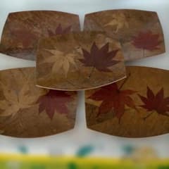 紅葉デザインの皿5枚セット(本物紅葉使用) 紅葉デザインの皿5枚セット(本物紅葉使用) - メルカリ