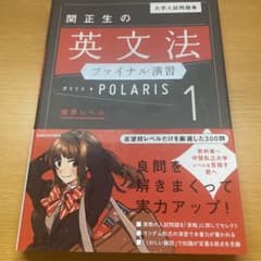大学入試問題集 関正生の英文法ファイナル演習ポラリス[1 標準レベル]のサムネイル