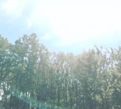 まりっぺ様 専用のサムネイル