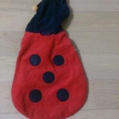 てんとう虫のサムネイル