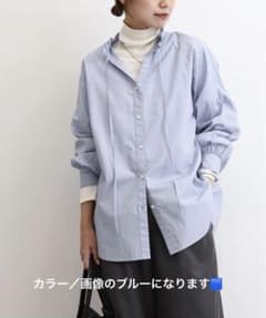 relume ハイカウントコットンスタンドカラー2way