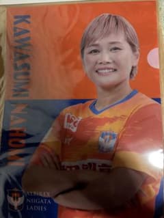 アルビレックス新潟レディース 川澄奈穂美 クリアファイルのサムネイル