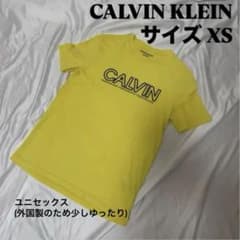 【値下げしました】CALVIN KLEIN Tシャツ カルバンクラインのサムネイル