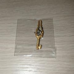 참새의 문 체결 매력(열쇠) 미개봉품
