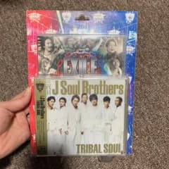 TRIBAL SOULのサムネイル