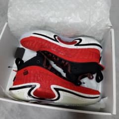 AIR JORDAN XXXVI サイズ２６のサムネイル
