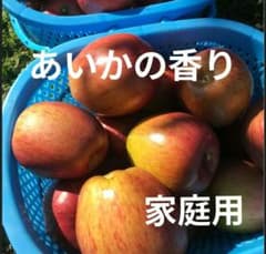 ✨️信州農家✨️【大玉】あいかの香り✨️家庭用箱込み6キロ！のサムネイル