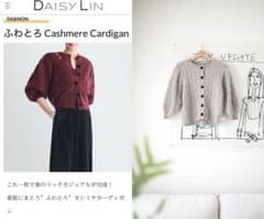 DAISY LIN デイジーリン カシミヤ100% ニット セーター DAISY LIN デイジーリン カシミヤ100% ニット セーター - メルカリ