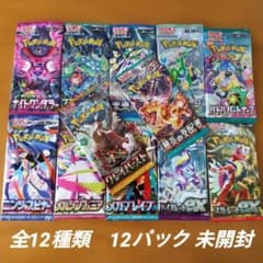 ポケモンカードゲーム 未開封パック12個セット ポケモンカードパック 全12種類 12パック 未開封 - メルカリ