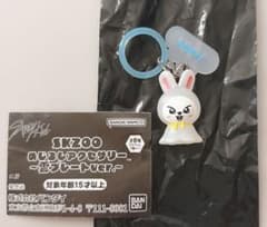 SKZOO めじるしアクセサリー 雪プレートver. Leebitのサムネイル