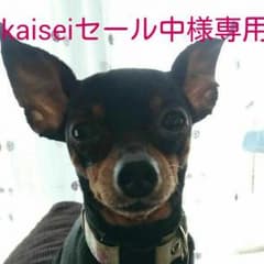 Kaiseiセール中様専用         FIFA14 ワールドクラスサッカーのサムネイル