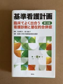 基準看護計画 臨床でよく出合う看護診断と潜在的合併症のサムネイル