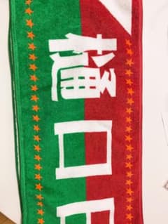乃木坂46 樋口日奈 推しメンタオルのサムネイル