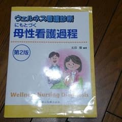 ウェルネス看護診断にもとづく母性看護過程のサムネイル