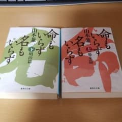 命もいらず名もいらず 上 下巻のサムネイル