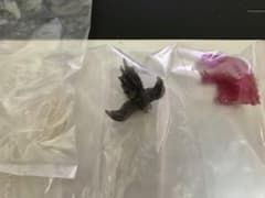 モンハン　フィギュア　 ミーア　ジャンヌ　クリア　ボーナスパーツ　まとめ売りのサムネイル