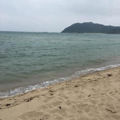イヌエスタさん 専用のサムネイル