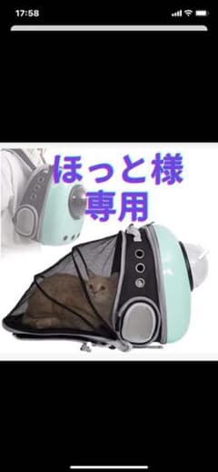 猫リュックのサムネイル