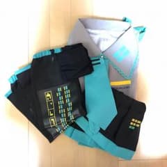 初音ミク コスプレのサムネイル