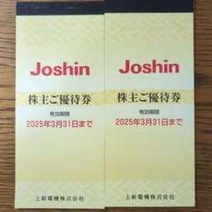 上新電機株主優待券　5000円×2冊のサムネイル