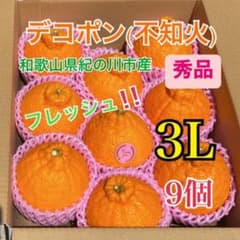 デコポン(不知火)秀品3L6個３箱と3 L 9個2箱 デコポン(不知火)秀品3L9個 - メルカリ