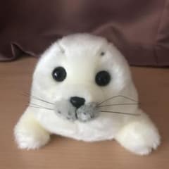 ぬいぐるみ アザラシのサムネイル