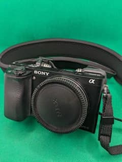 SONY α6000/SEL18200LE／SIGMA30mm1.4DCDNのサムネイル