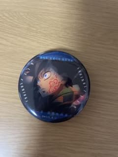 鬼滅の刃 ものがたる眼差しコレクション缶バッジ 冨岡義勇 - メルカリ