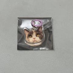 猫カフェmocha イオンモール羽生店 めじるしチャーム 紬 - メルカリ