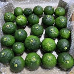 青い【花良治（ケラジ）✨幻のけらじみかん】A品　正味約1kg送料込のサムネイル