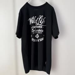 ✨大きいサイズ　Columbia コロンビア　ブラック　Tシャツ XLのサムネイル
