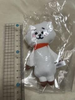 BT21 캐릭터 키 홀더