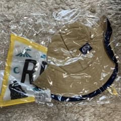 ポルノグラフィティのサムネイル