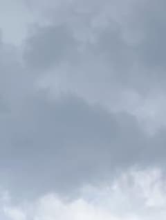 EWさま専用のサムネイル