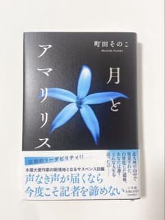 【新品】月とアマリリスのサムネイル