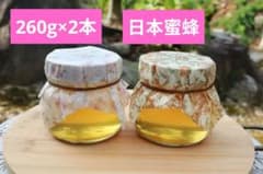 日本蜜蜂　はちみつ　プレゼント　　260g　2本 ニホンミツバチ　おしゃれのサムネイル