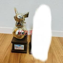 m17818178984_1.jpg?1723865763