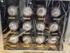 直筆サイン入りボールセット　阪神タイガース　2021年　開幕スタメンのサムネイル