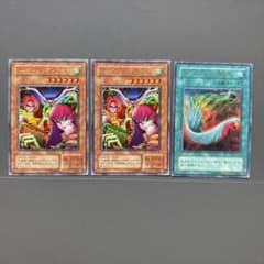 遊戯王　エラー　ハーピィレディ三姉妹　羽根箒 遊戯王 エラー ハーピィレディ三姉妹 羽根箒 Amazon.co.jp: 遊戯王