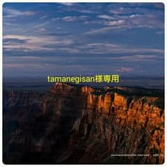 tamanegisan様専用 エンジェルボイス1～30巻セットのサムネイル