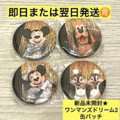 ディズニー ワンマンズドリーム2 缶バッジ ミッキー ミニー カプセルトイ