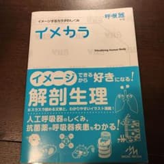 イメカラ : イメージするカラダのしくみ 呼吸器　送料込のサムネイル
