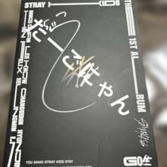 スキズ stray kids go生 サイン アルバム mwaveのサムネイル