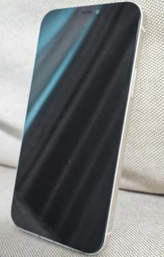 Apple iPhone 12 본체 정크? 가격 인상 상담